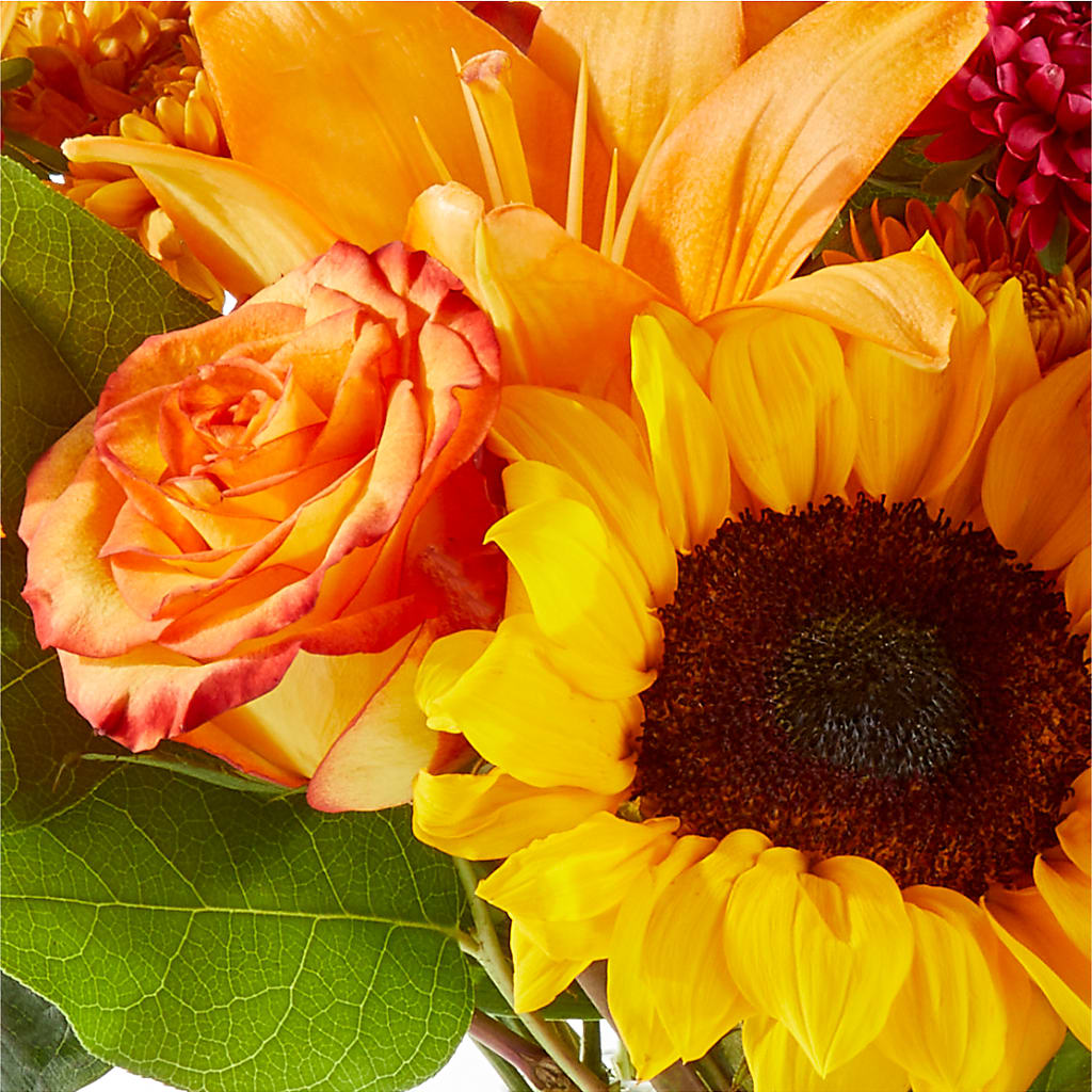 Fall Day Bouquet –  Flowers On Fourteenth, Washington DC