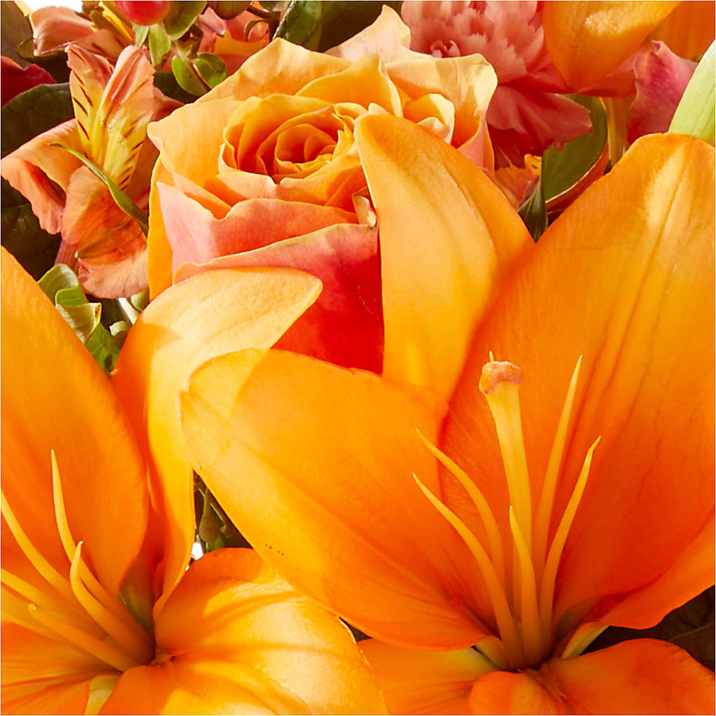 Afternoon Light Bouquet –  Flowers On Fourteenth, Washington DC