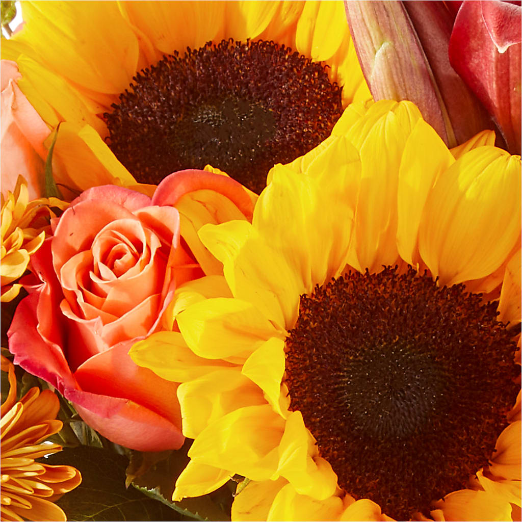 Acorn Lane Bouquet –  Flowers On Fourteenth, Washington DC
