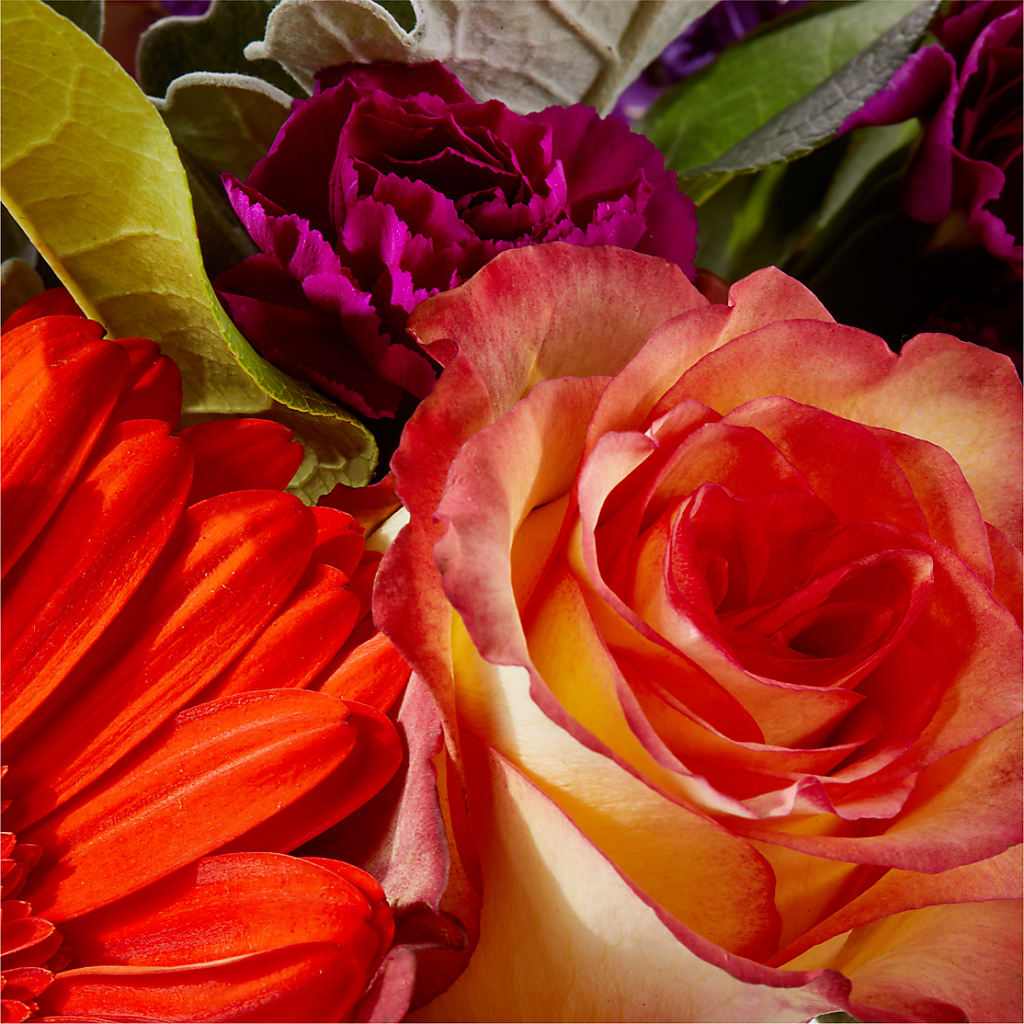 Sangria Bouquet –  Flowers On Fourteenth, Washington DC
