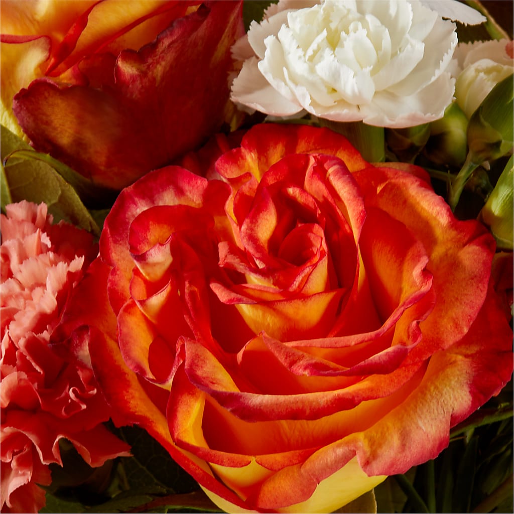 Apricot Glow Bouquet –  Flowers On Fourteenth, Washington DC