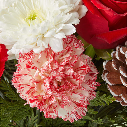 Candy Cane Lane Bouquet –  Flowers On Fourteenth, Washington DC