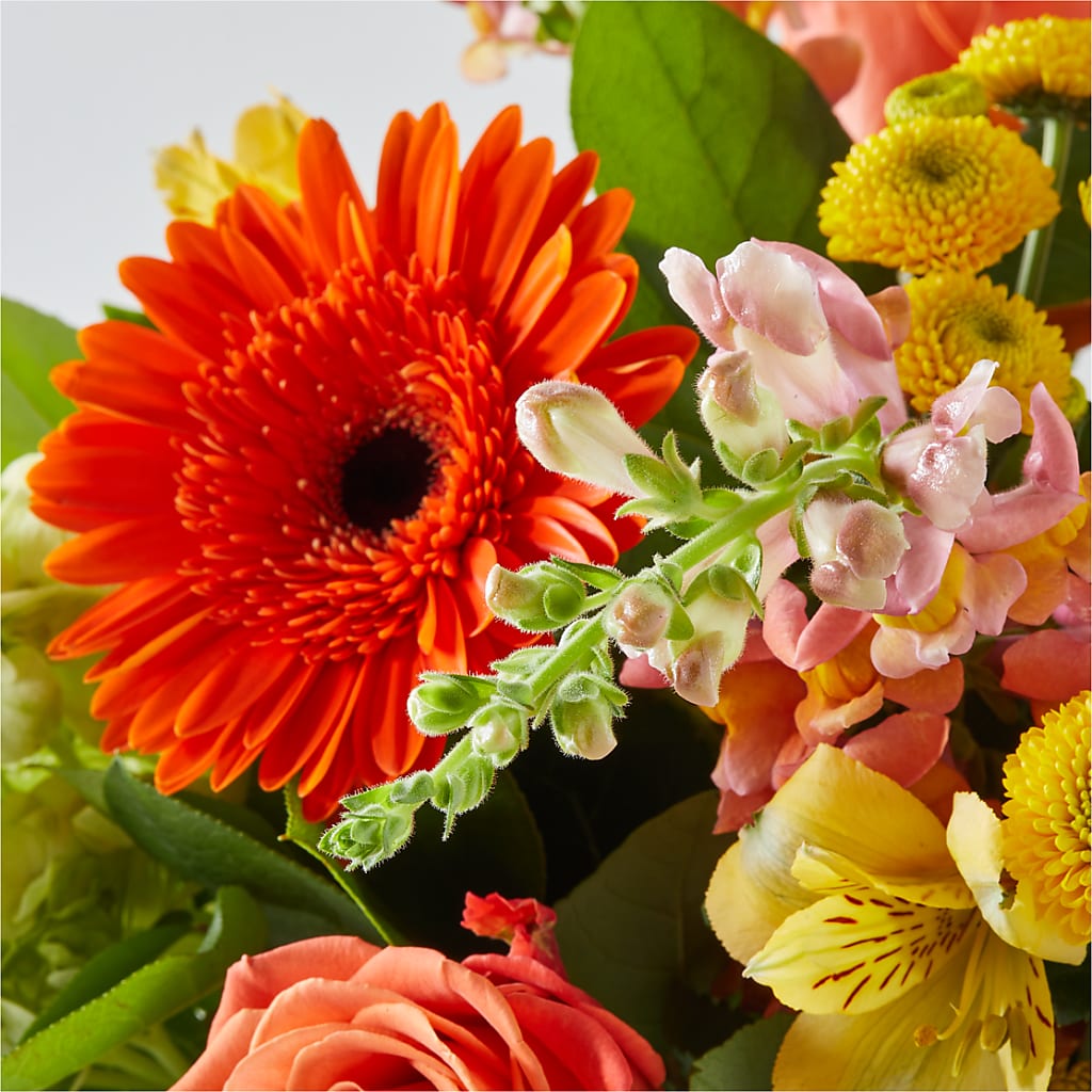 Autumn Sunshine Bouquet –  Flowers On Fourteenth, Washington DC