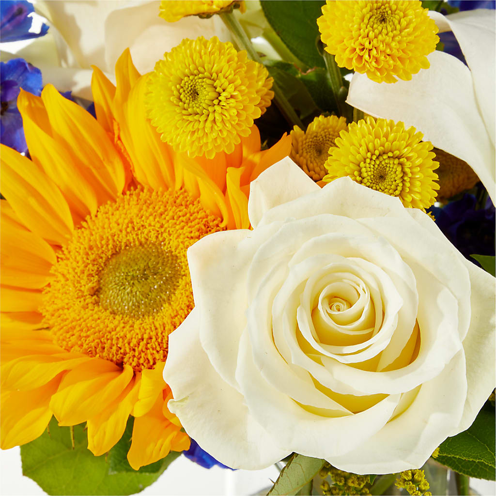 Stargazing Bouquet –  Flowers On Fourteenth, Washington DC