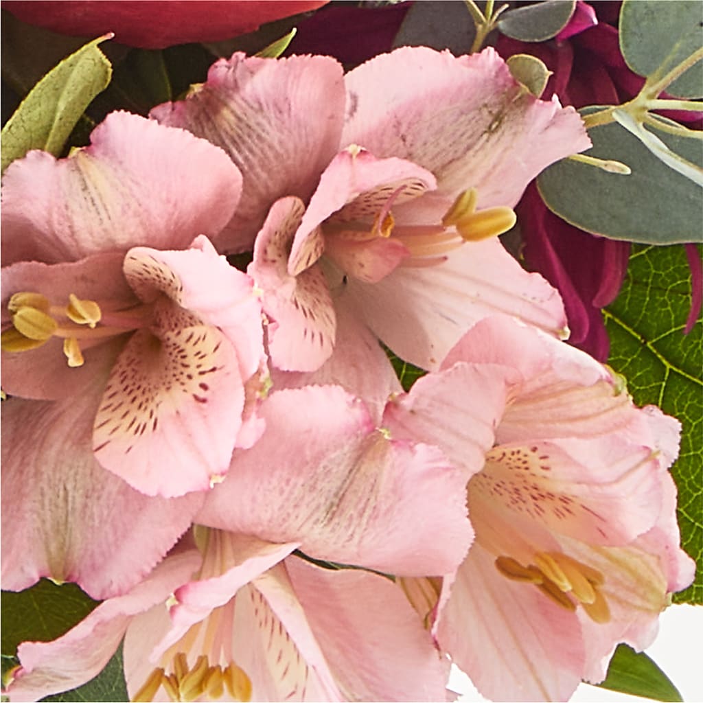 Berry Cobbler Bouquet –  Flowers On Fourteenth, Washington DC