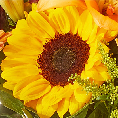 Seasons Change Bouquet –  Flowers On Fourteenth, Washington DC