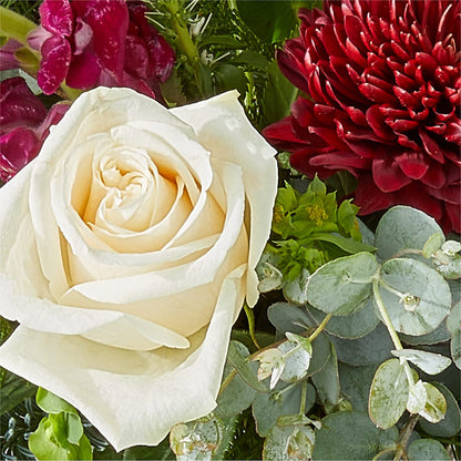 Cranberry Fizz Bouquet –  Flowers On Fourteenth, Washington DC