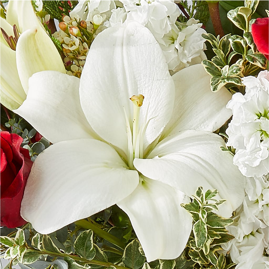 Twinkle Lights Bouquet –  Flowers On Fourteenth, Washington DC