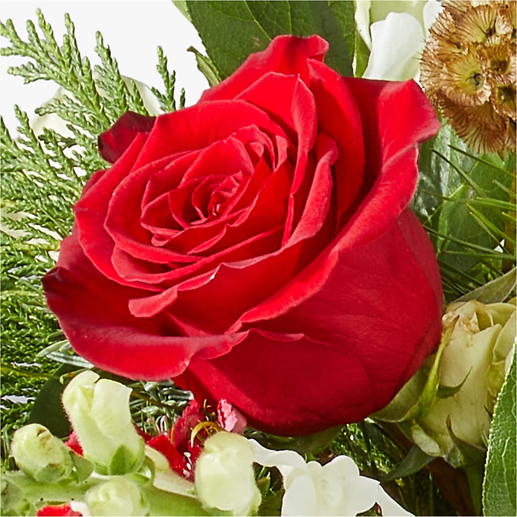 Deck the Halls Bouquet –  Flowers On Fourteenth, Washington DC
