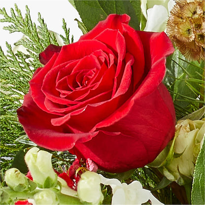 Deck the Halls Bouquet –  Flowers On Fourteenth, Washington DC