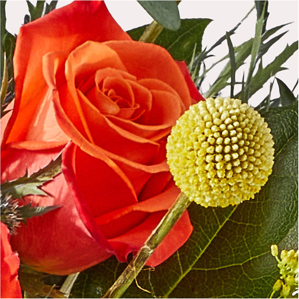 Disco Bouquet –  Flowers On Fourteenth, Washington DC