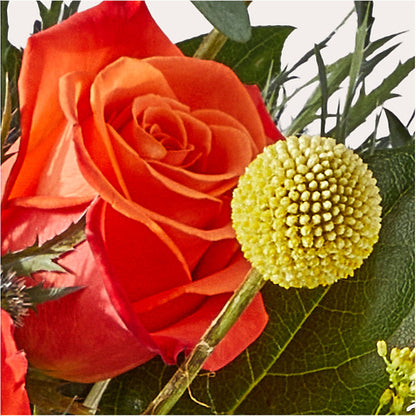 Disco Bouquet –  Flowers On Fourteenth, Washington DC
