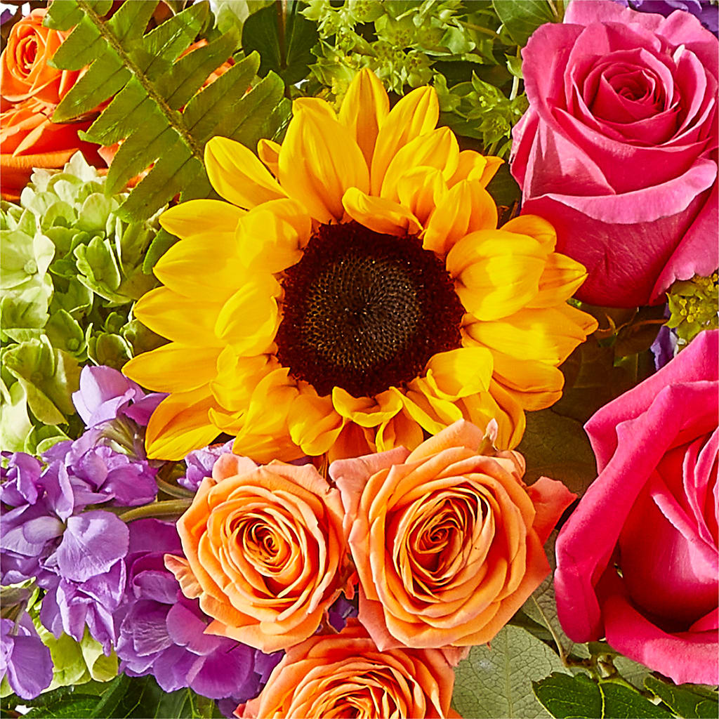Vibrant Greetings Bouquet –  Flowers On Fourteenth, Washington DC
