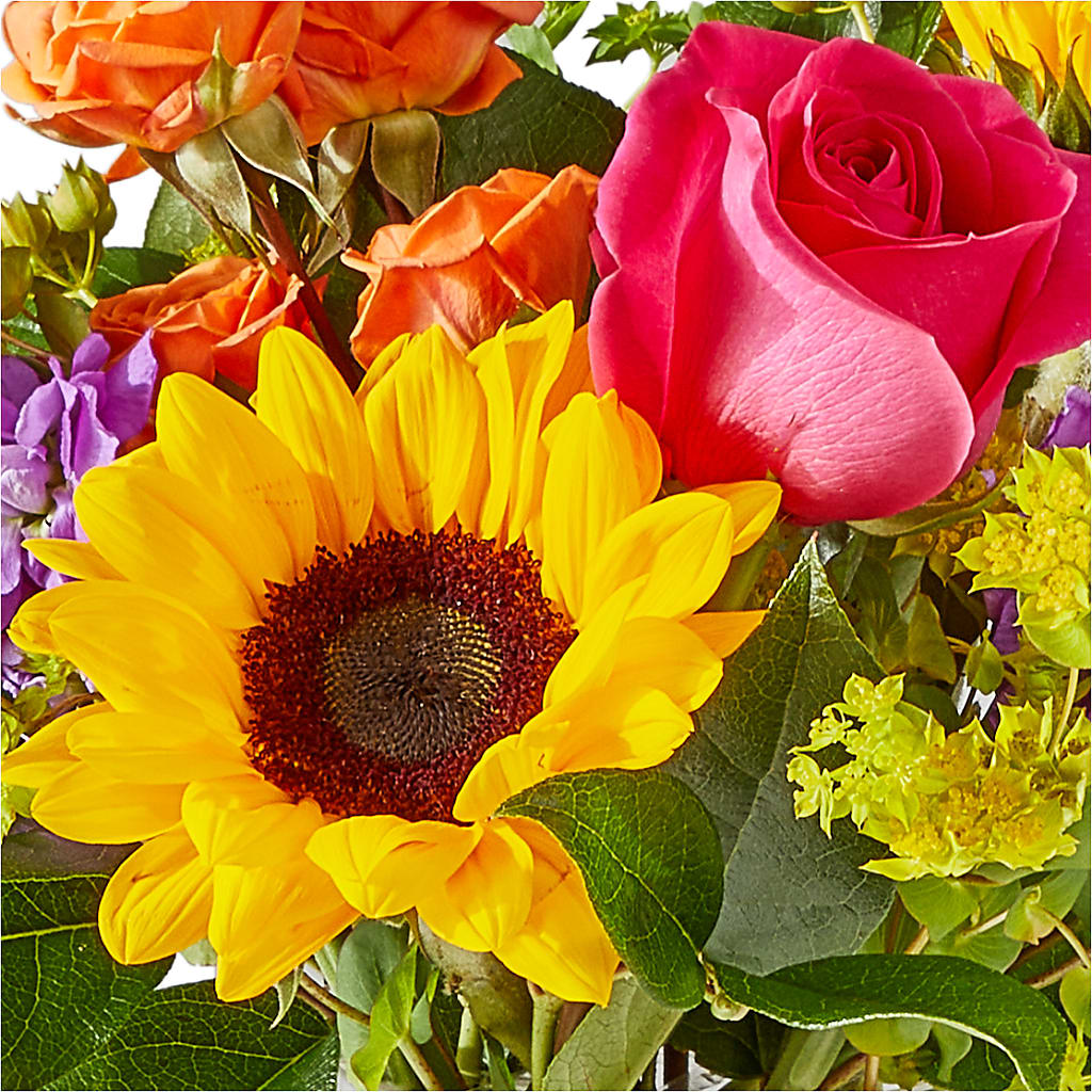 Vibrant Greetings Bouquet –  Flowers On Fourteenth, Washington DC