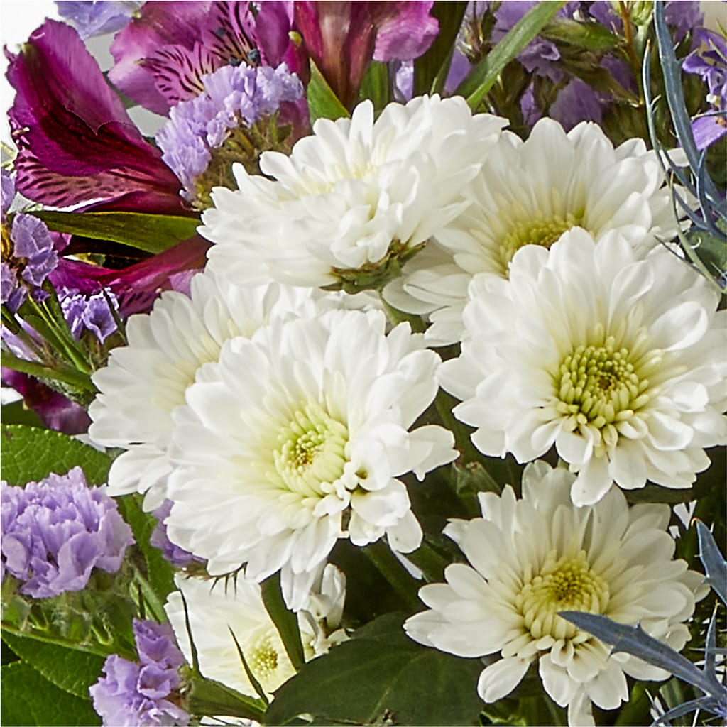 Shooting Star Bouquet –  Flowers On Fourteenth, Washington DC
