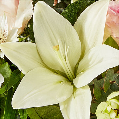 Ballet Slippers Bouquet –  Flowers On Fourteenth, Washington DC