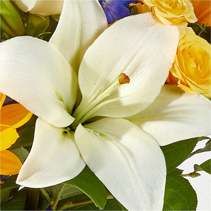 Wonderfully Sunny Bouquet –  Flowers On Fourteenth, Washington DC