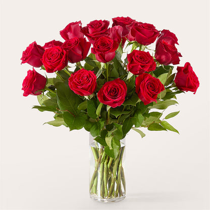 The One Red Rose Bouquet –  Flowers On Fourteenth, Washington DC