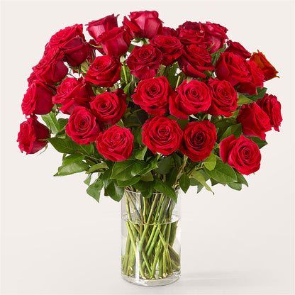 The One Red Rose Bouquet –  Flowers On Fourteenth, Washington DC