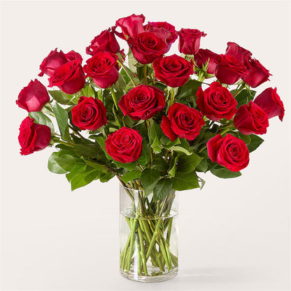 The One Red Rose Bouquet –  Flowers On Fourteenth, Washington DC
