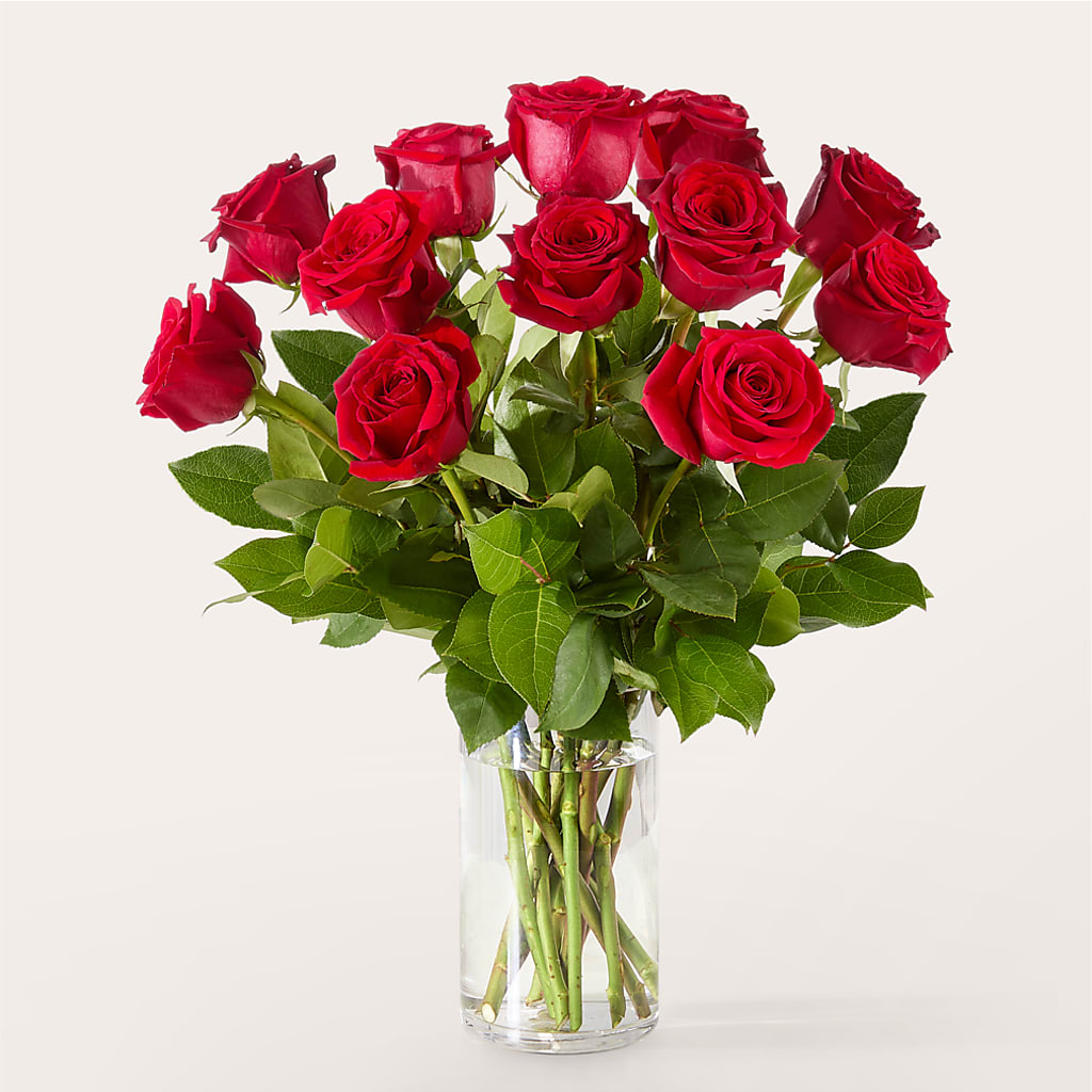 The One Red Rose Bouquet –  Flowers On Fourteenth, Washington DC