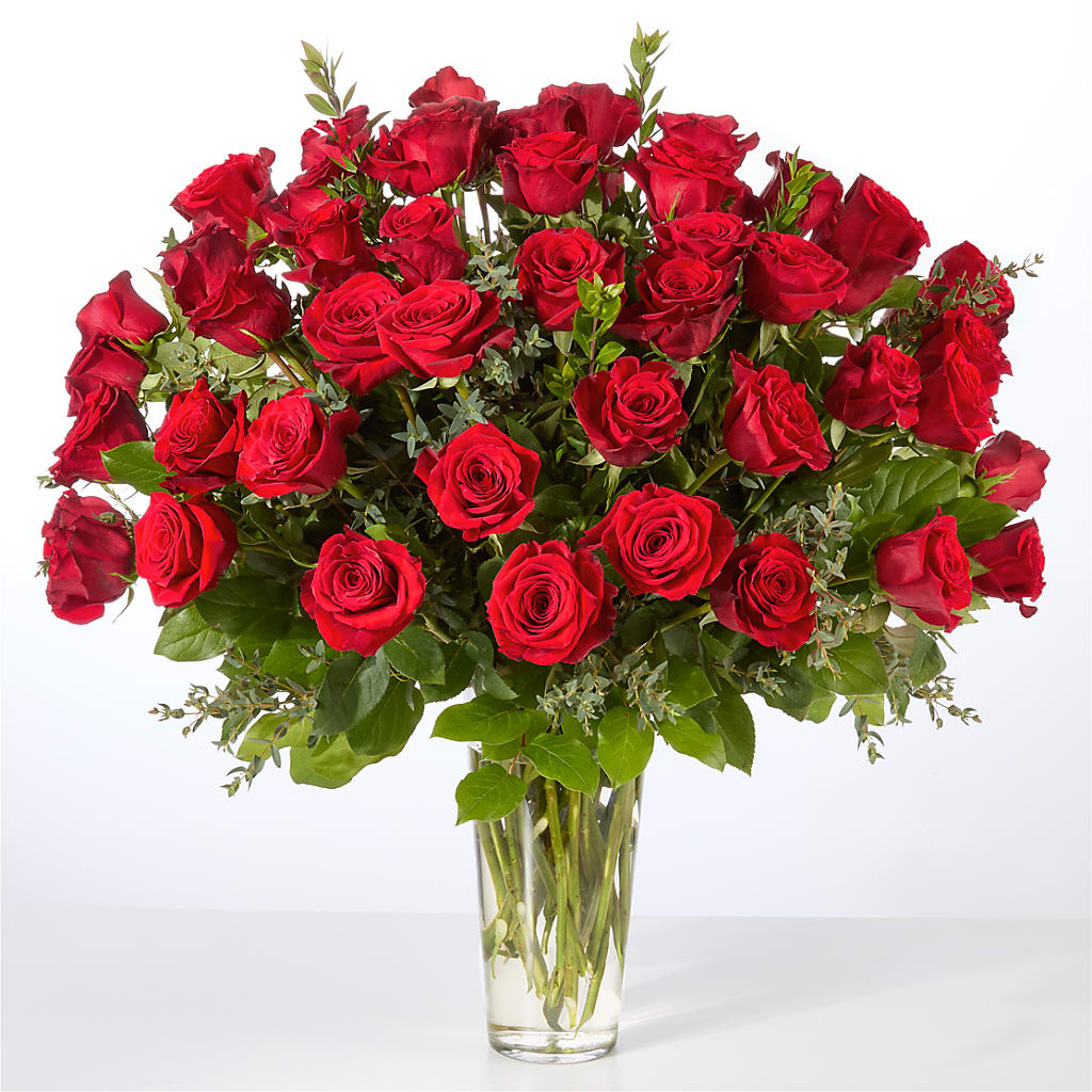 Forever Yours Fifty Stem Red Rose Bouquet –  Flowers On Fourteenth, Washington DC
