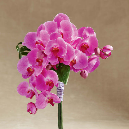 Glorious Bouquet –  Flowers On Fourteenth, Washington DC