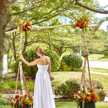 Arbor of Love Archway –  Flowers On Fourteenth, Washington DC