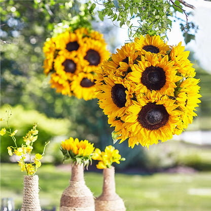 Sublime Garden Hanging Arrangement –  Flowers On Fourteenth, Washington DC