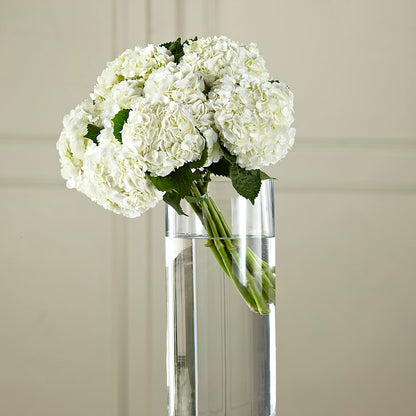 White Hydrangea Hand-Tied Bouquet –  Flowers On Fourteenth, Washington DC