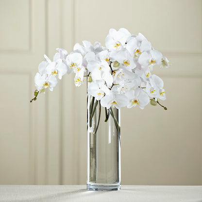 White Phalaenopsis Bouquet –  Flowers On Fourteenth, Washington DC