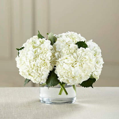 White Hydrangea Bouquet –  Flowers On Fourteenth, Washington DC